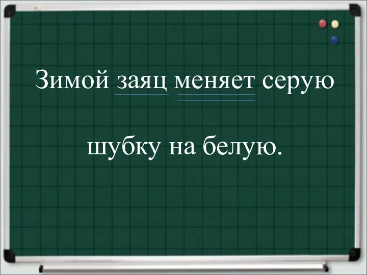 Зимой заяц меняет серую шубку на белую.