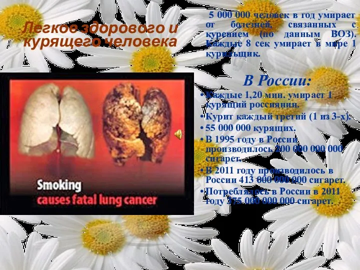 Легкое здорового и курящего человека 5 000 000 человек в