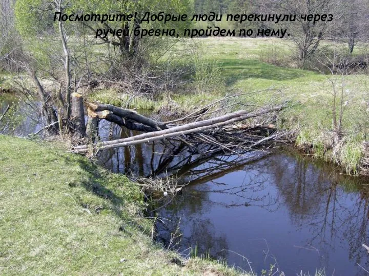 Посмотрите! Добрые люди перекинули через ручей бревна, пройдем по нему.