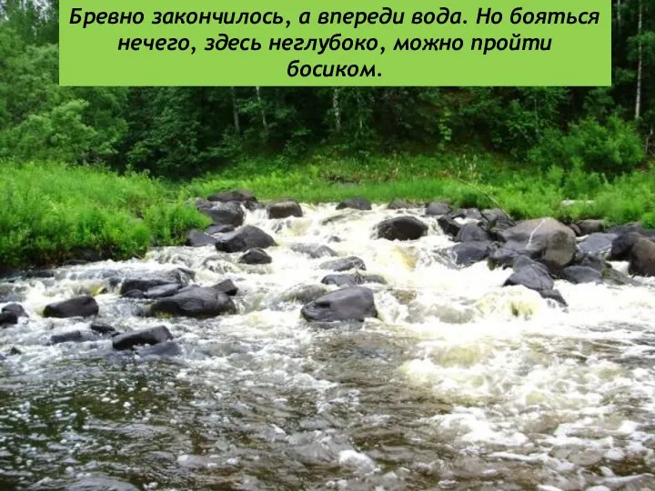 Бревно закончилось, а впереди вода. Но бояться нечего, здесь неглубоко, можно пройти босиком.