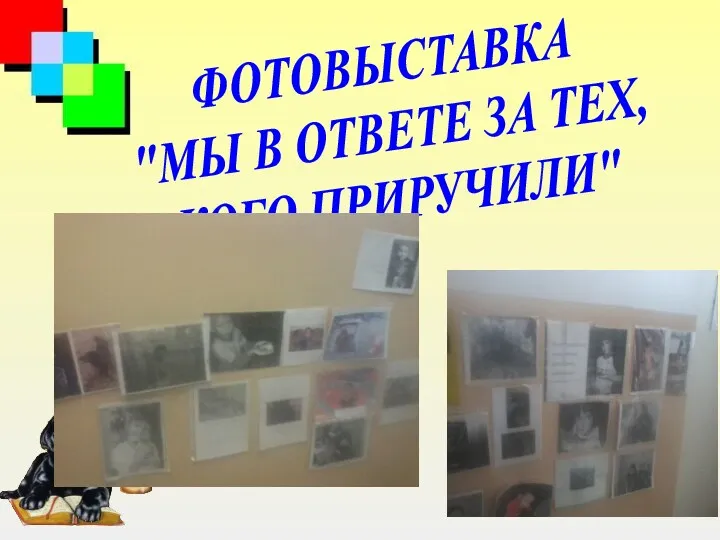 ФОТОВЫСТАВКА "МЫ В ОТВЕТЕ ЗА ТЕХ, КОГО ПРИРУЧИЛИ"