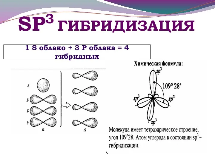 SР3 ГИБРИДИЗАЦИЯ 1 S облако + 3 Р облака = 4 гибридных