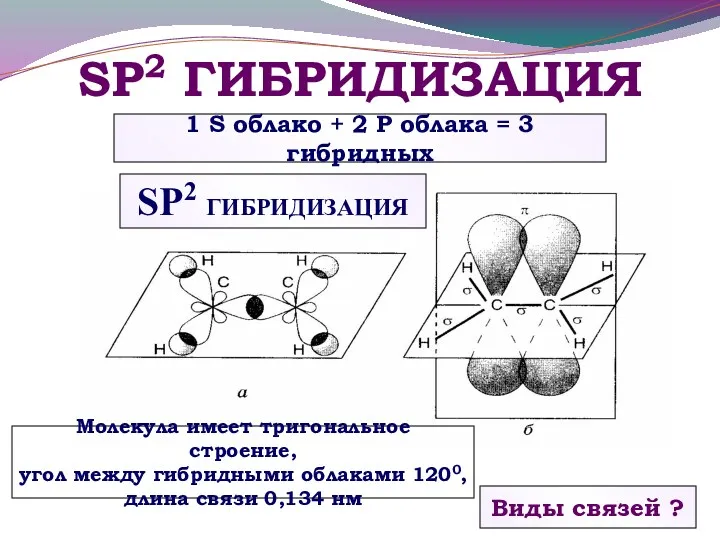 SP2 ГИБРИДИЗАЦИЯ Виды связей ? Молекула имеет тригональное строение, угол