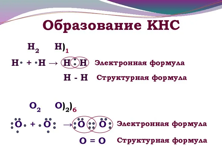 Образование КНС