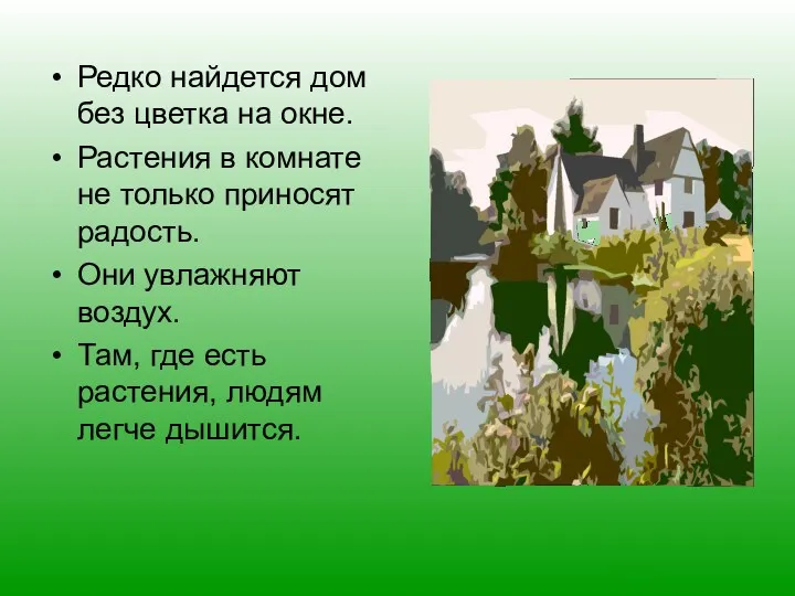 Редко найдется дом без цветка на окне. Растения в комнате не только приносят