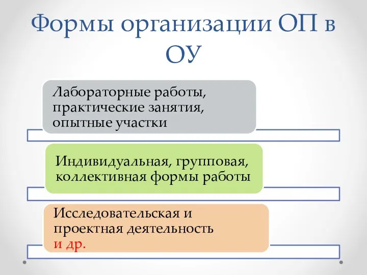 Формы организации ОП в ОУ