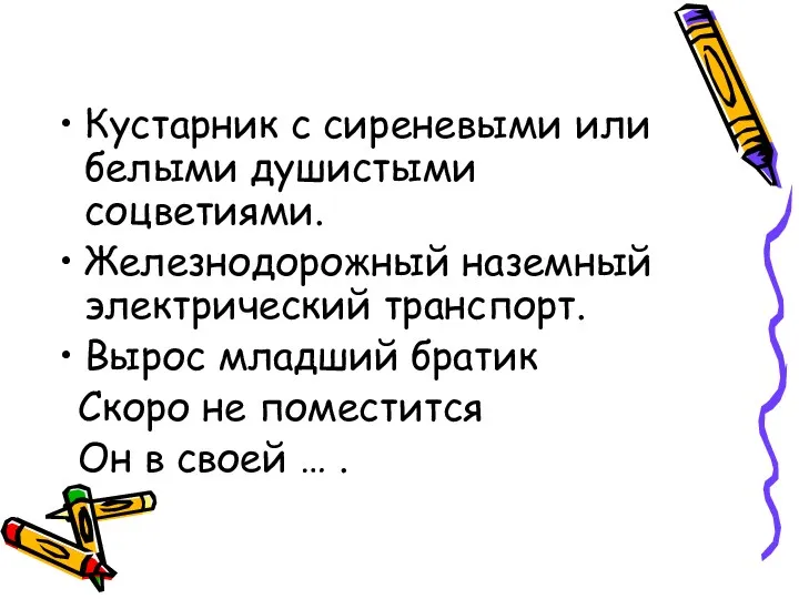 Кустарник с сиреневыми или белыми душистыми соцветиями. Железнодорожный наземный электрический