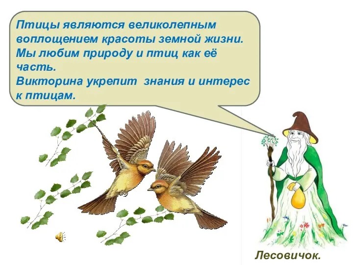 Птицы являются великолепным воплощением красоты земной жизни. Мы любим природу
