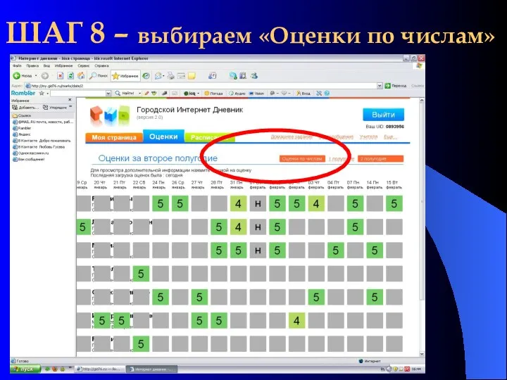 ШАГ 8 – выбираем «Оценки по числам»