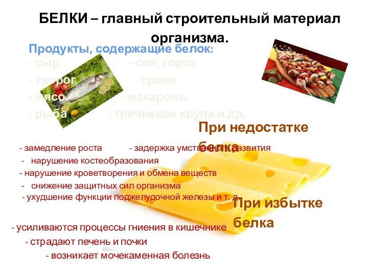 БЕЛКИ – главный строительный материал организма. Продукты, содержащие белок: -