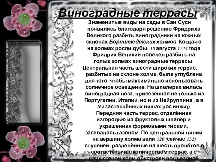 Виноградные террасы Знаменитые виды на сады в Сан-Суси появились благодаря