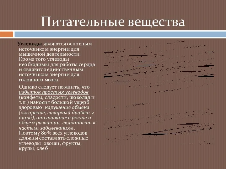 Углеводы являются основным источником энергии для мышечной деятельности. Кроме того