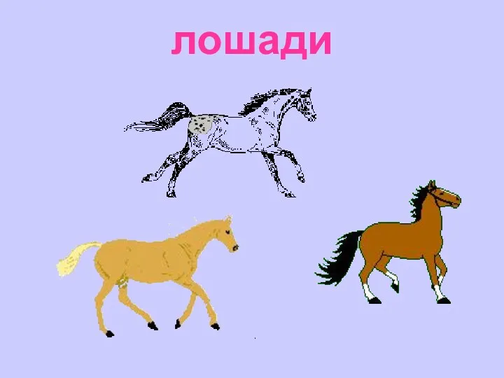 лошади