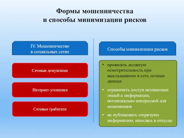 Формы мошенничества и способы минимизации рисков Сетевые домушники Интернет-угонщики Сетевые