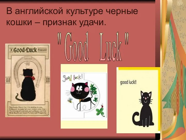 В английской культуре черные кошки – признак удачи. " Good Luck "