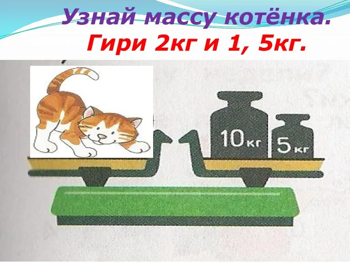 Узнай массу котёнка. Гири 2кг и 1, 5кг.