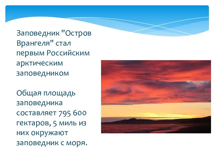 Заповедник "Остров Врангеля" стал первым Российским арктическим заповедником Общая площадь