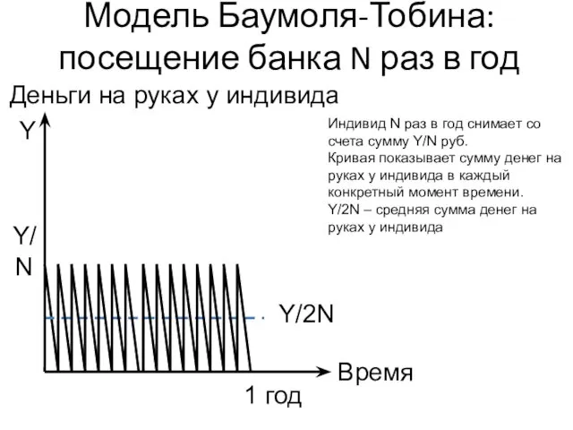 Y/N Время Деньги на руках у индивида Y 1 год