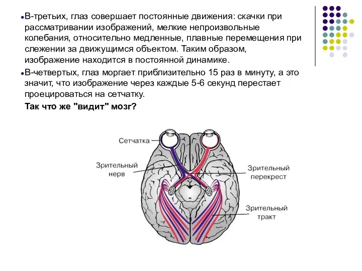 В-третьих, глаз совершает постоянные движения: скачки при рассматривании изображений, мелкие