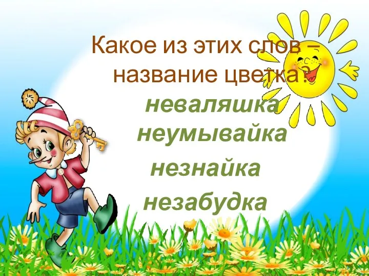 Какое из этих слов – название цветка? неваляшка неумывайка незнайка незабудка