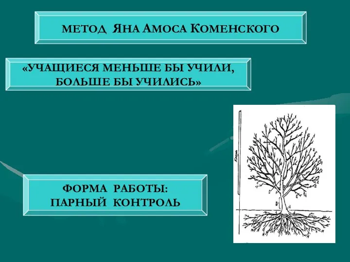 МЕТОД ЯНА АМОСА КОМЕНСКОГО «УЧАЩИЕСЯ МЕНЬШЕ БЫ УЧИЛИ, БОЛЬШЕ БЫ УЧИЛИСЬ» ФОРМА РАБОТЫ: ПАРНЫЙ КОНТРОЛЬ