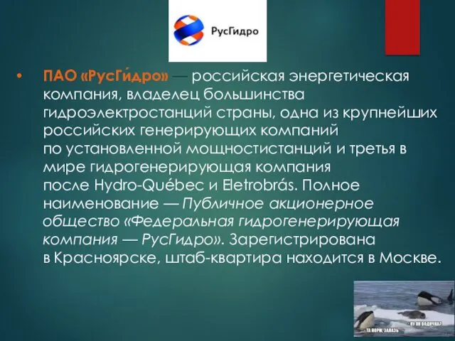 ПАО «РусГи́дро» — российская энергетическая компания, владелец большинства гидроэлектростанций страны, одна из крупнейших