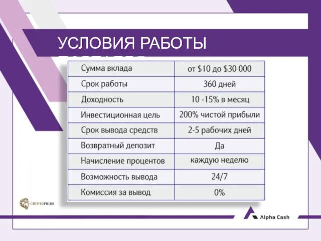 УСЛОВИЯ РАБОТЫ ПОРТФЕЛЯ