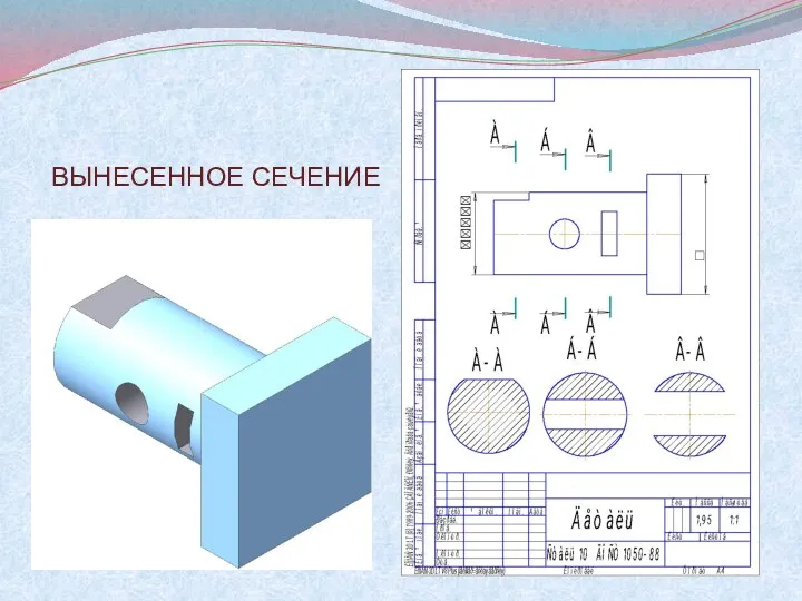 ВЫНЕСЕННОЕ СЕЧЕНИЕ