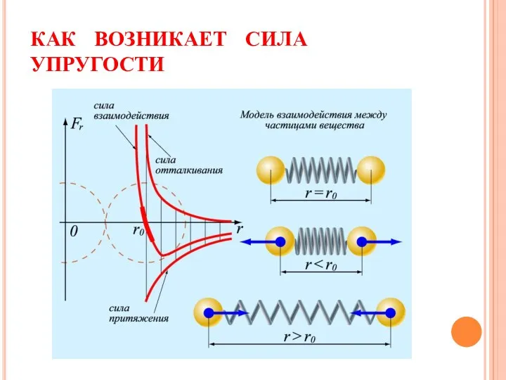 КАК ВОЗНИКАЕТ СИЛА УПРУГОСТИ