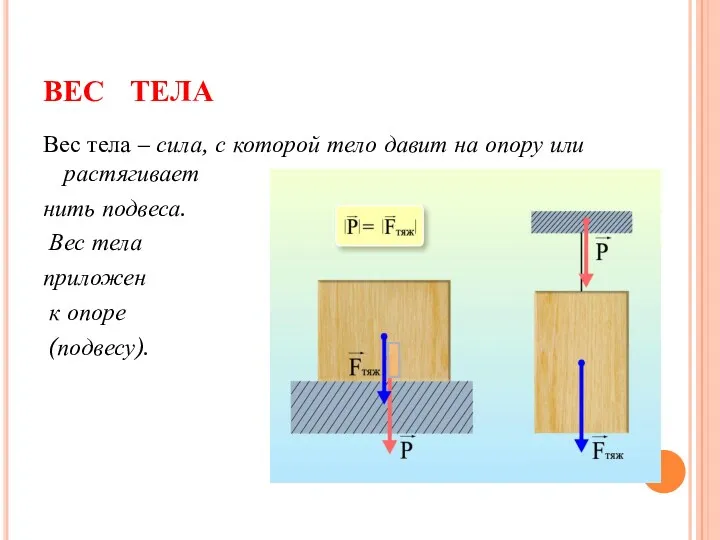 ВЕС ТЕЛА Вес тела – сила, с которой тело давит