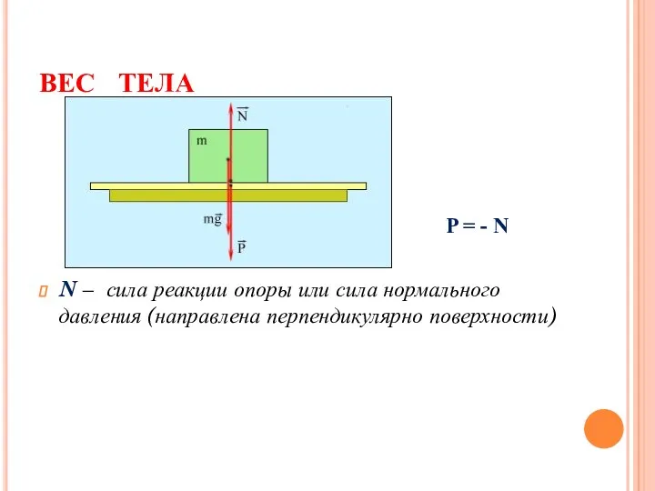 ВЕС ТЕЛА P = - N N – сила реакции