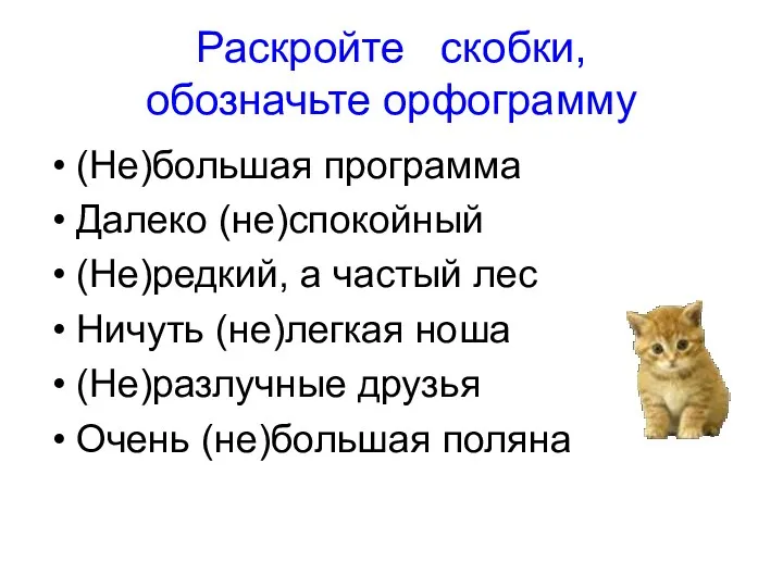 Раскройте скобки, обозначьте орфограмму (Не)большая программа Далеко (не)спокойный (Не)редкий, а