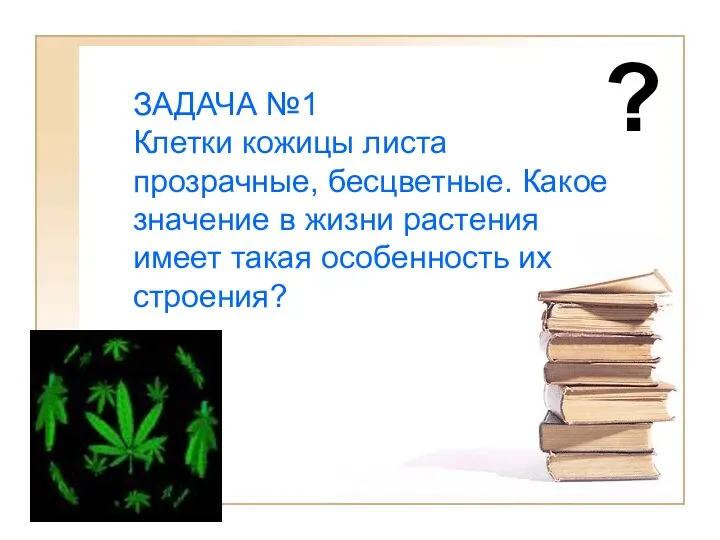 ЗАДАЧА №1 Клетки кожицы листа прозрачные, бесцветные. Какое значение в