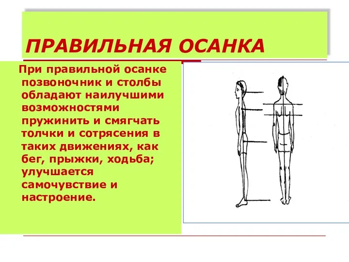 ПРАВИЛЬНАЯ ОСАНКА При правильной осанке позвоночник и столбы обладают наилучшими