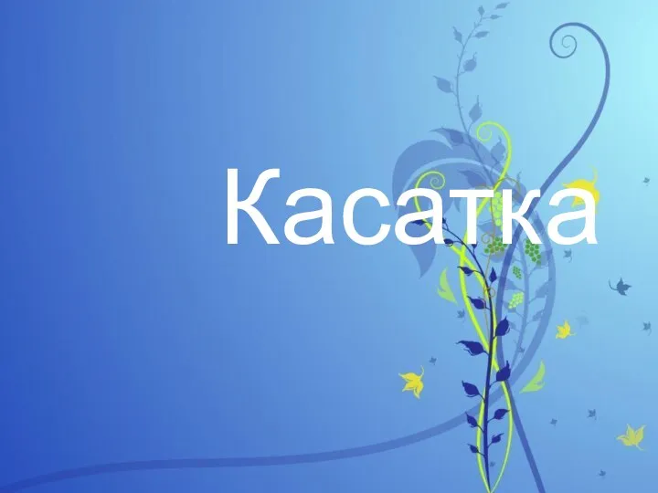 Касатка