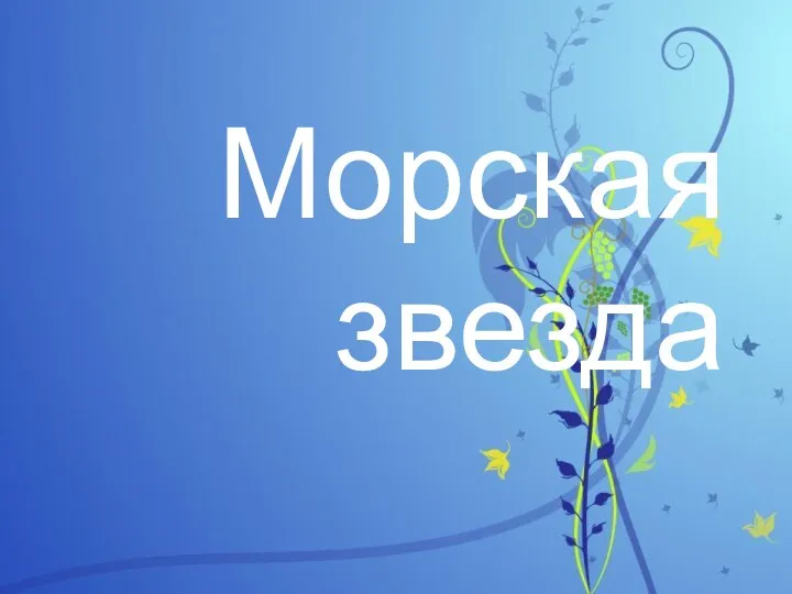 Морская звезда