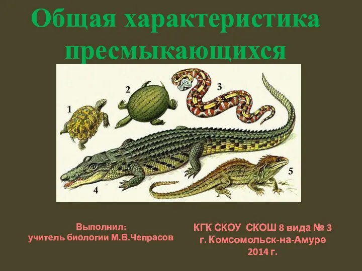 Презентация к уроку биологии 8 класс на тему: Общая характеристика пресмыкающихся