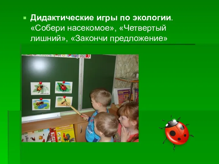 Дидактические игры по экологии. «Собери насекомое», «Четвертый лишний», «Закончи предложение»