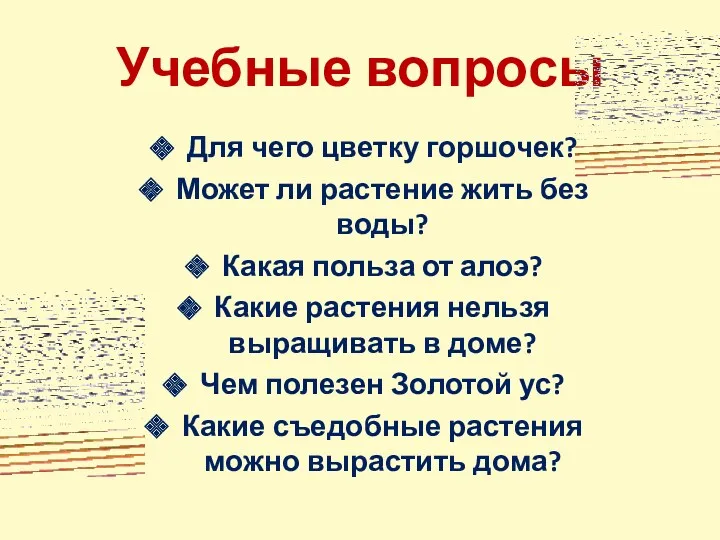 Учебные вопросы Для чего цветку горшочек? Может ли растение жить без воды? Какая