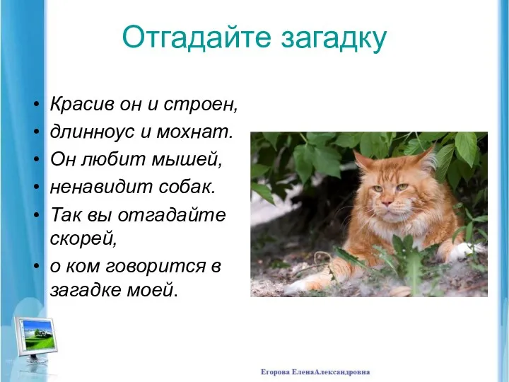 Отгадайте загадку Красив он и строен, длинноус и мохнат. Он