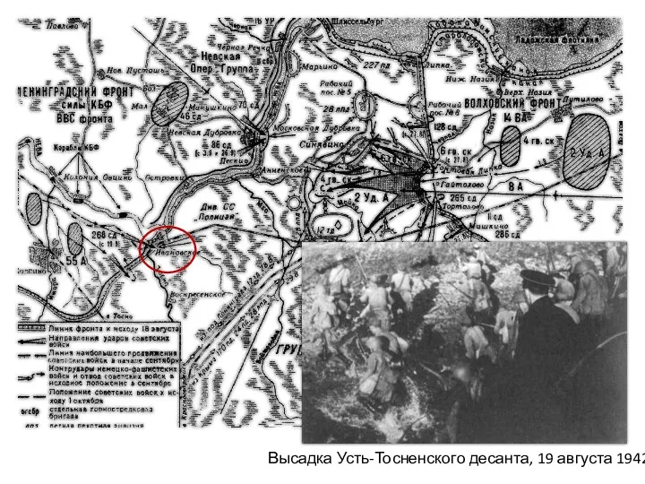 Высадка Усть-Тосненского десанта, 19 августа 1942 г.