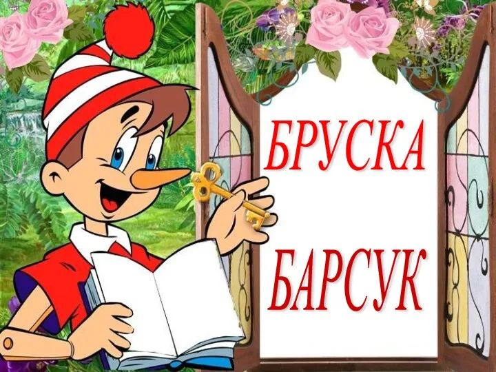 БРУСКА БАРСУК