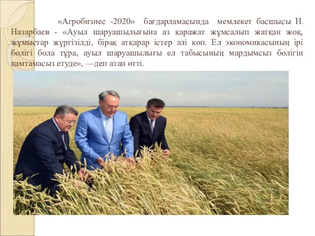 «Агробизнес -2020» бағдарламасында мемлекет басшысы Н.Назарбаев - «Ауыл шаруашылығына аз