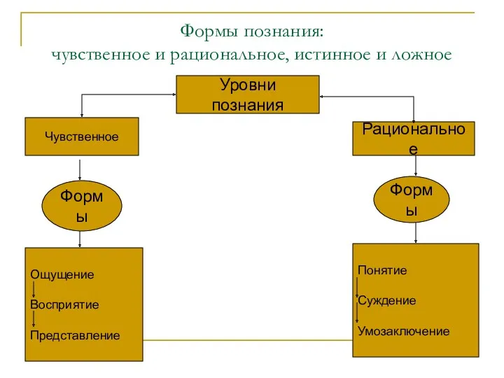 Формы познания: чувственное и рациональное, истинное и ложное Уровни познания