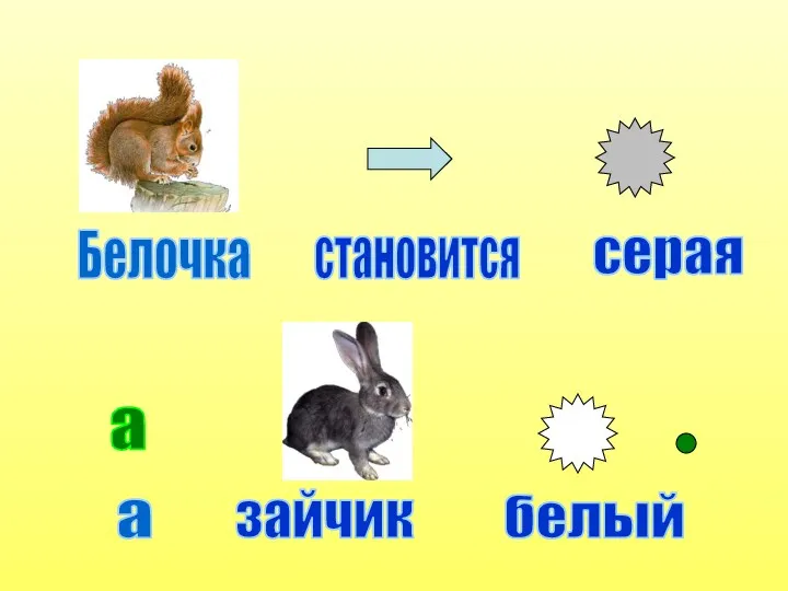 Белочка становится серая зайчик белый а а