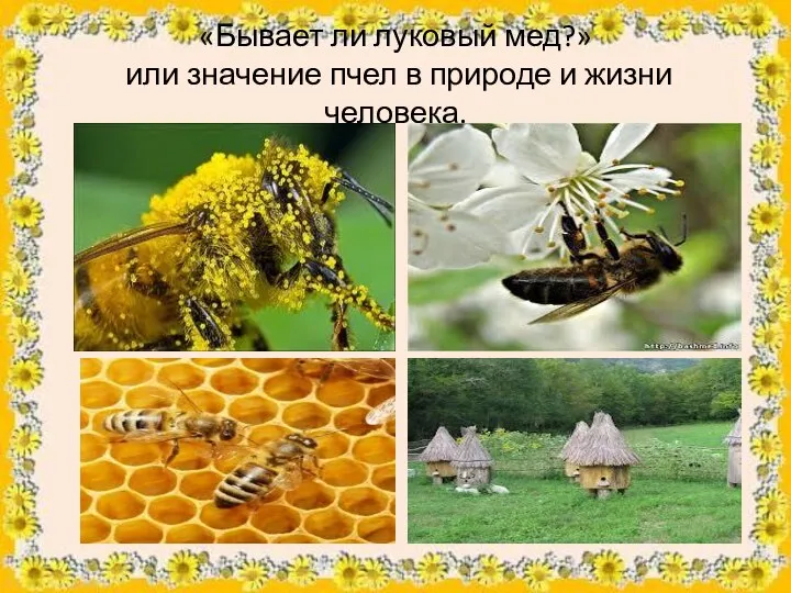 «Бывает ли луковый мед?» или значение пчел в природе и жизни человека.