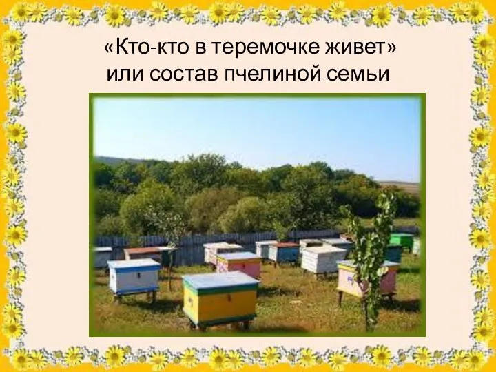 «Кто-кто в теремочке живет» или состав пчелиной семьи
