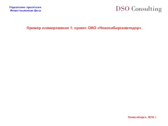 Пример планирования 1: проект ОАО «Новосибирскавтодор»