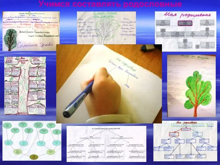 Учимся составлять родословные