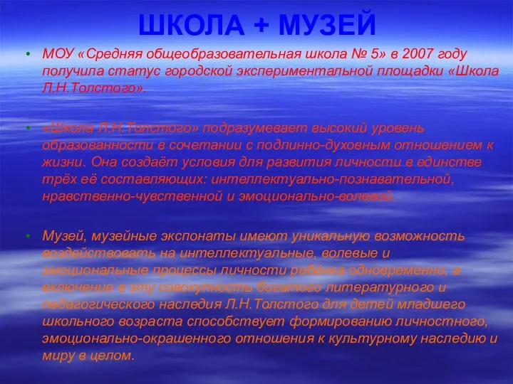 МОУ «Средняя общеобразовательная школа № 5» в 2007 году получила